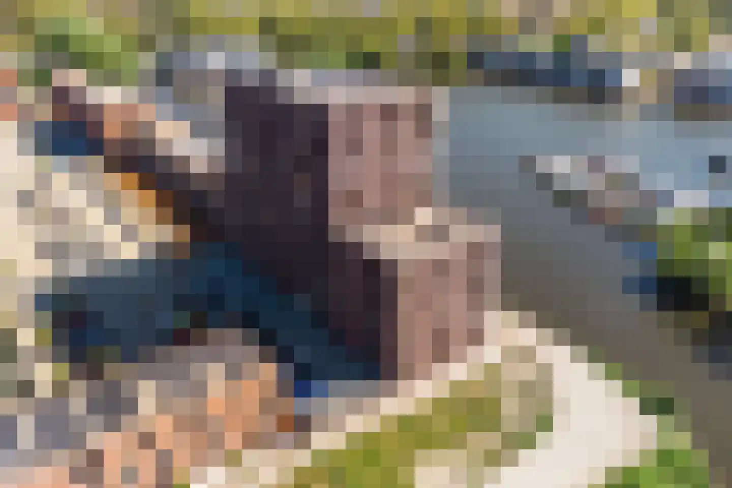 Hanzekade 118 Dronten thumbnail 33
