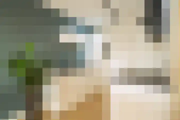 Hanzekade 126 Dronten thumbnail 16