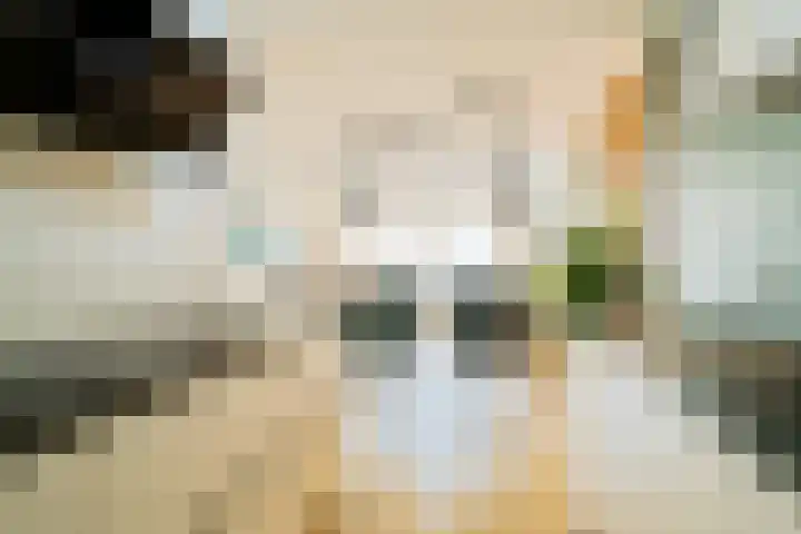 Hanzekade 126 Dronten thumbnail 5