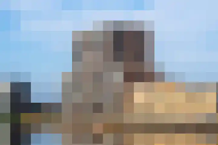 Hanzekade 126 Dronten thumbnail 6