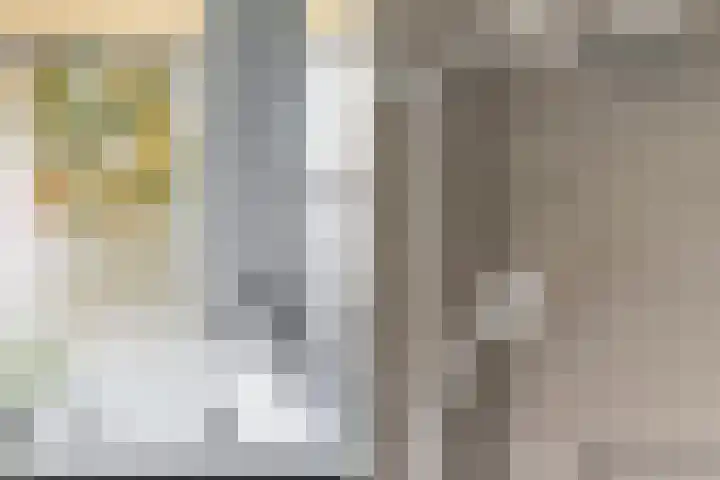 Hanzekade 58 Dronten thumbnail 42