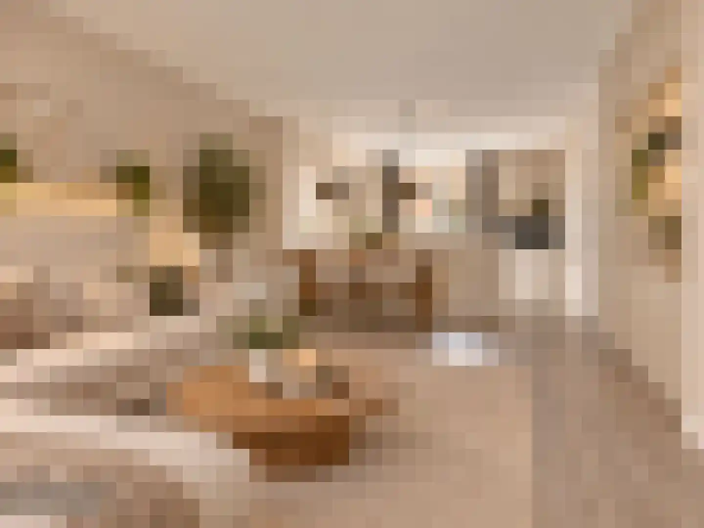 Hanzelaan 10 Kampen thumbnail 12