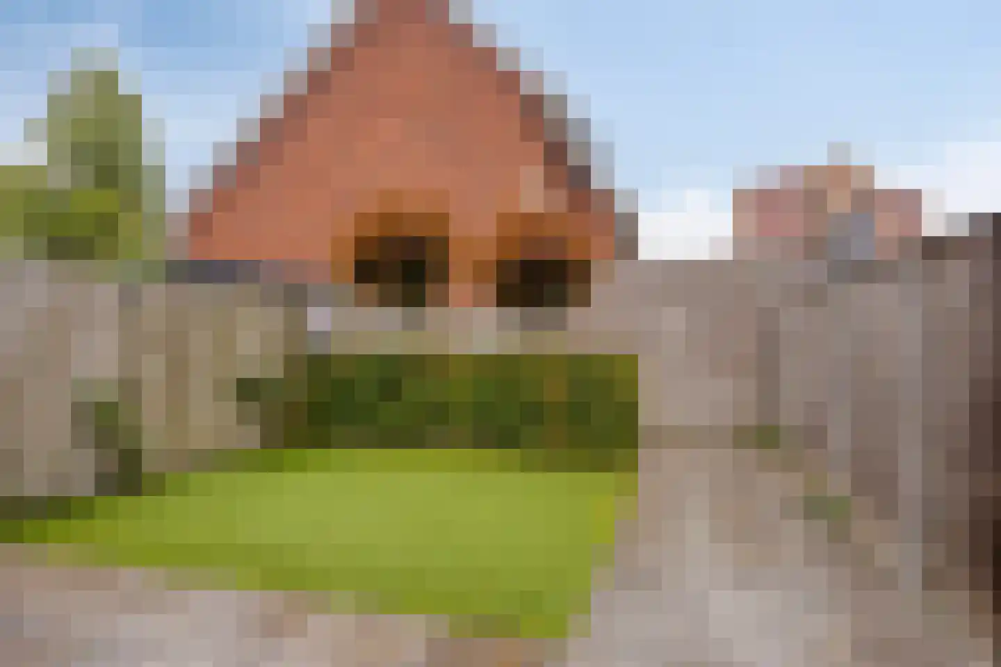 Hanzelaan 10 Kampen thumbnail 35