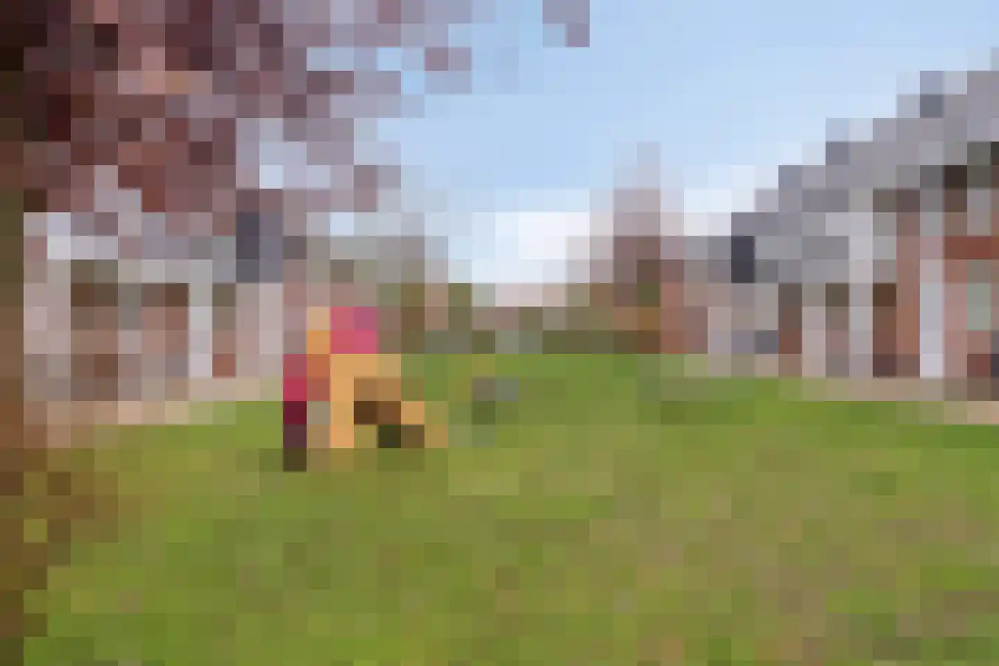 Hanzelaan 10 Kampen thumbnail 43