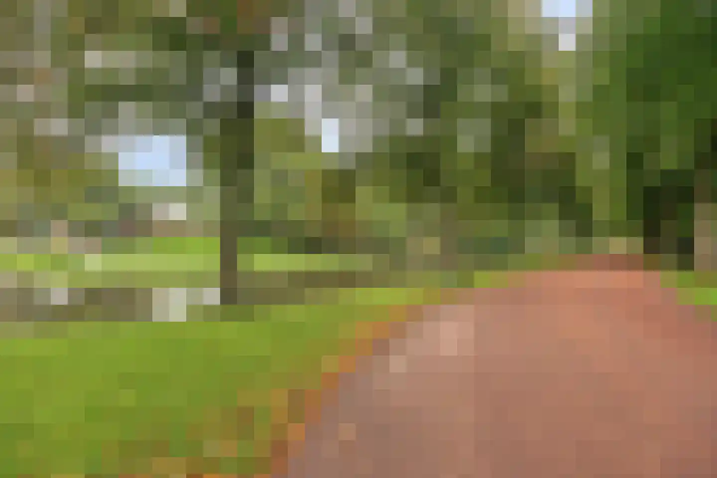Hanzelaan 10 Kampen thumbnail 45
