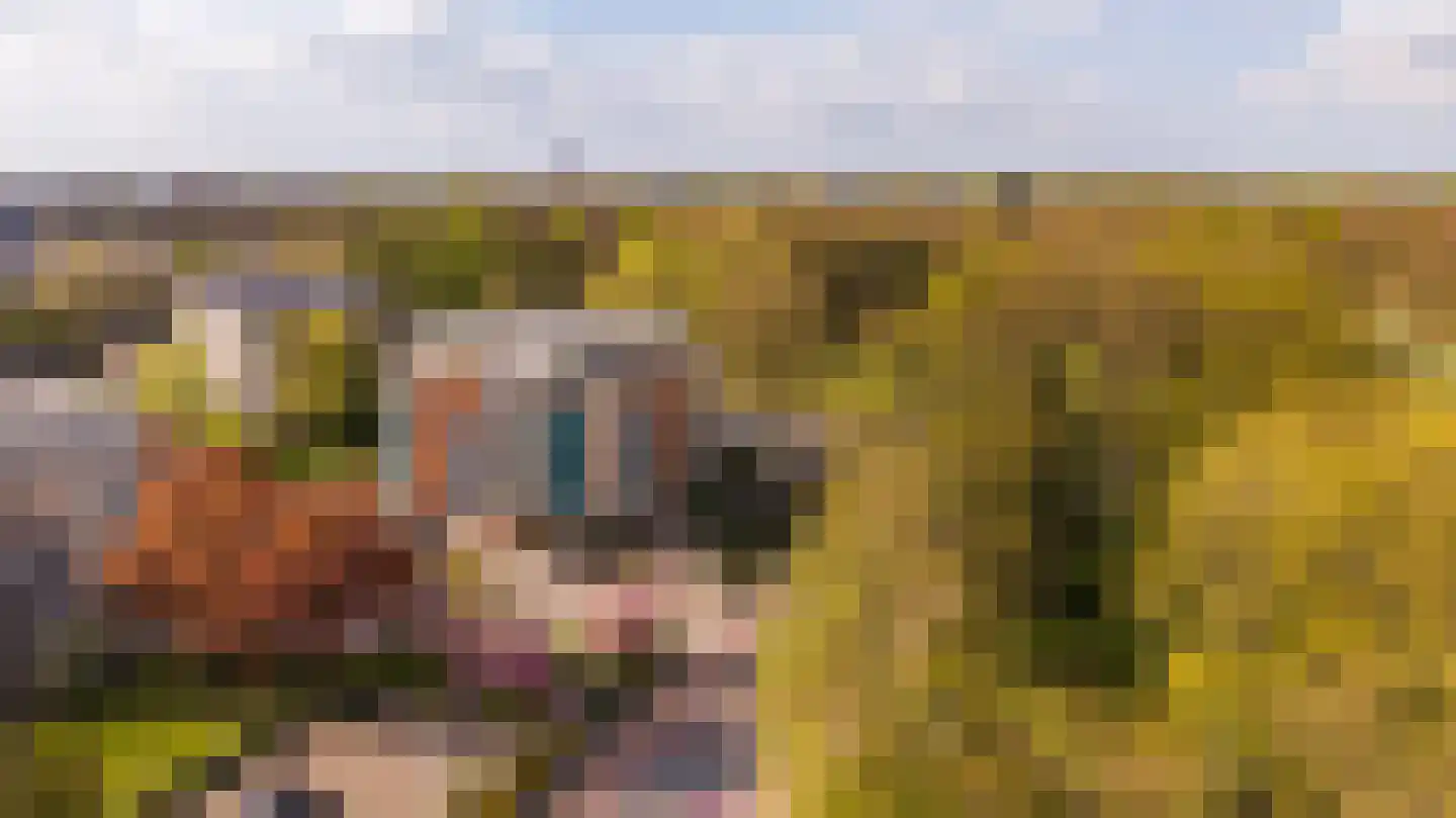 Hanzelaan 114 Almelo