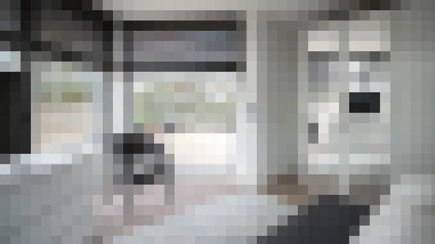 Hanzelaan 114 Almelo thumbnail 19