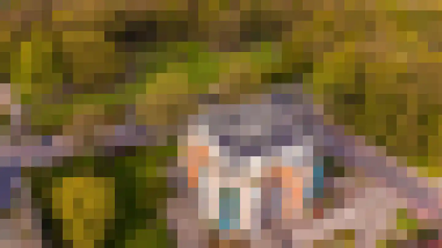 Hanzelaan 114 Almelo thumbnail 38