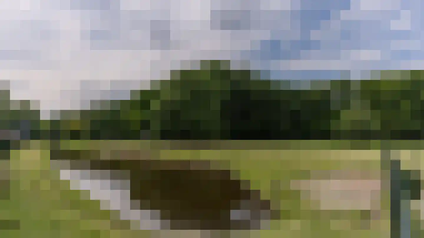 Hanzelaan 114 Almelo thumbnail 42