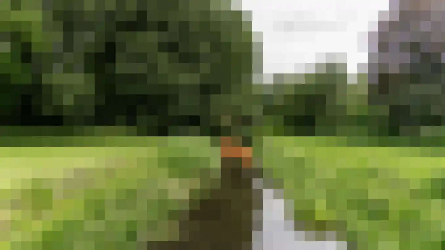 Hanzelaan 114 Almelo thumbnail 43