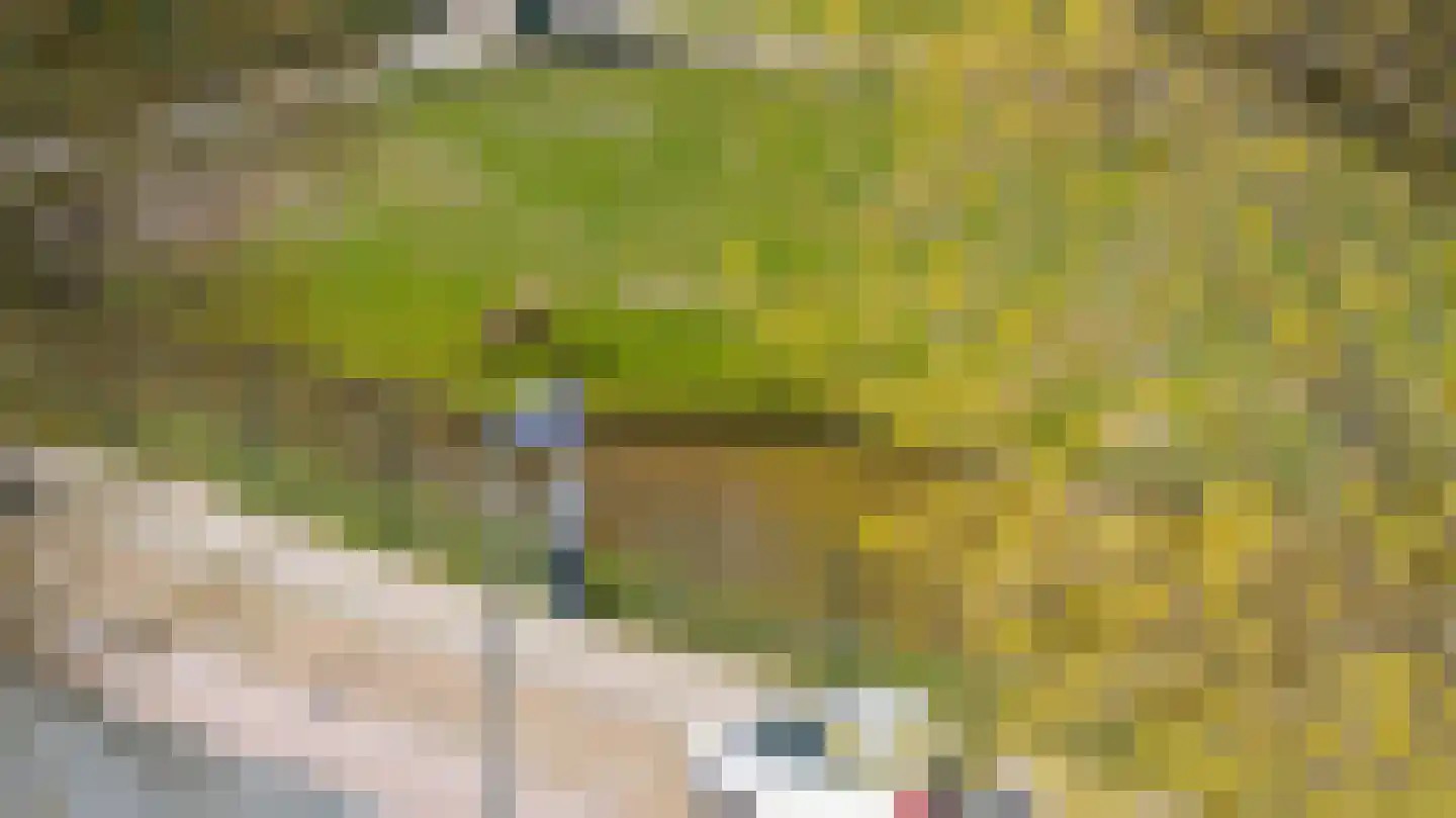 Hanzelaan 114 Almelo thumbnail 45