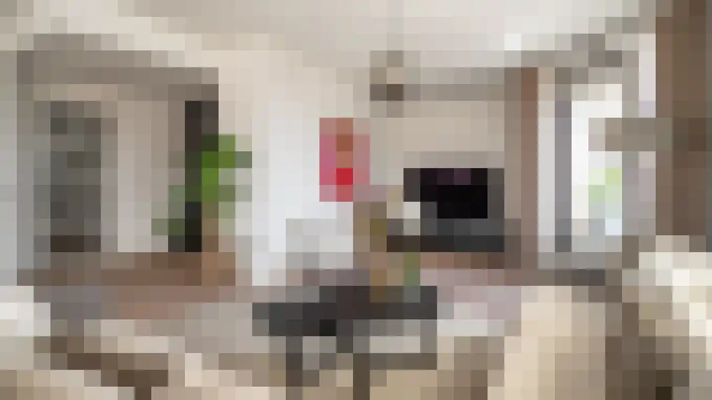 Hanzelaan 114 Almelo thumbnail 5