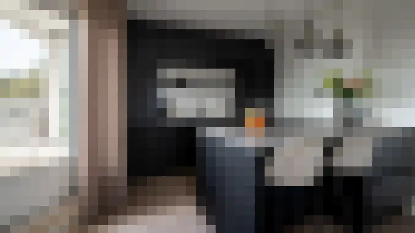Hanzelaan 114 Almelo thumbnail 8