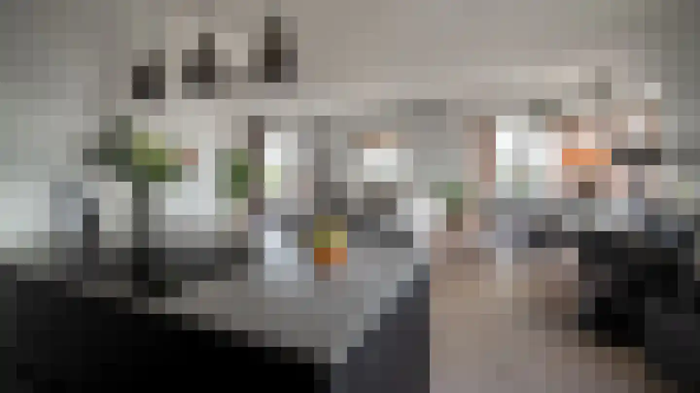 Hanzelaan 114 Almelo thumbnail 9