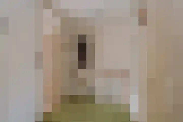 Hanzelaan 20 Almelo thumbnail 13