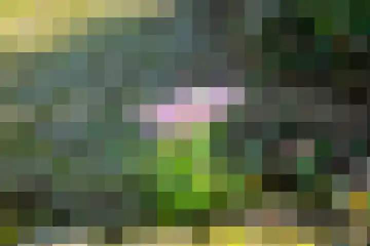 Hanzelaan 20 Almelo thumbnail 20