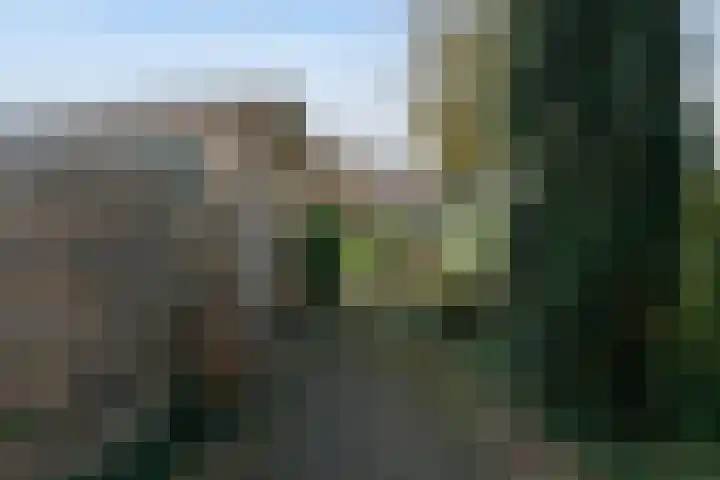 Hanzelaan 20 Almelo thumbnail 22