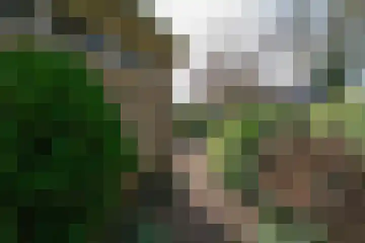 Hanzelaan 20 Almelo thumbnail 23