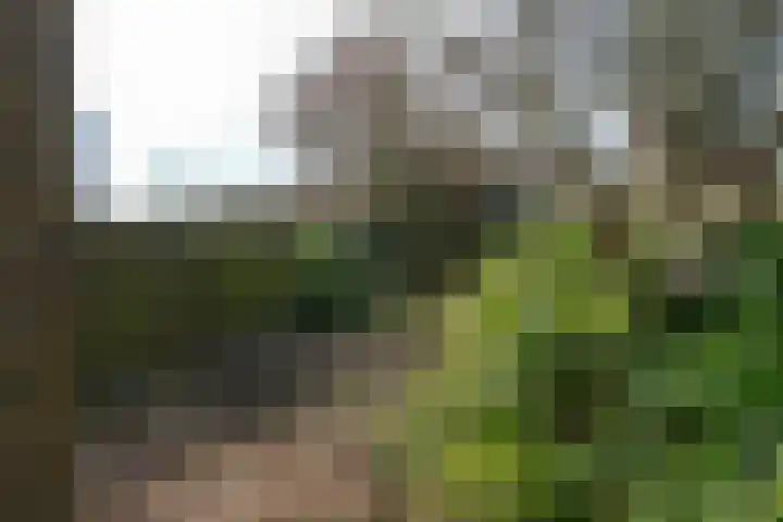 Hanzelaan 20 Almelo thumbnail 24