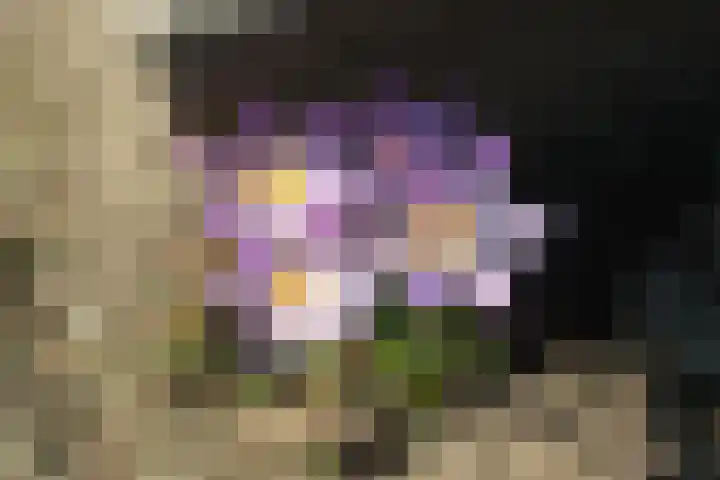Hanzelaan 20 Almelo thumbnail 25