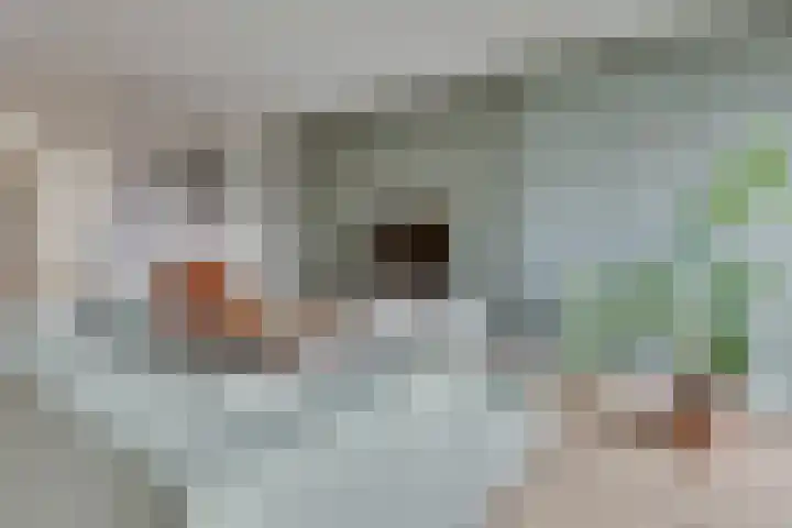 Hanzelaan 41 Kampen thumbnail 14