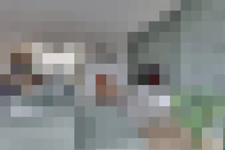 Hanzelaan 41 Kampen thumbnail 15