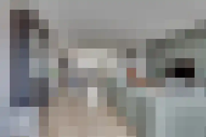 Hanzelaan 41 Kampen thumbnail 16