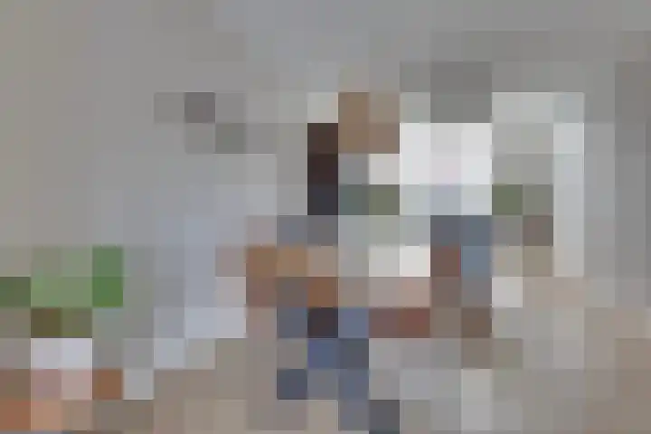 Hanzelaan 41 Kampen thumbnail 17