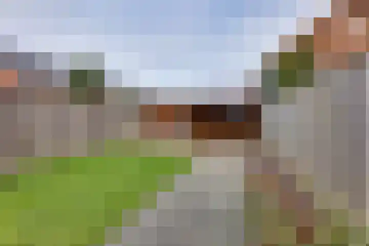 Hanzelaan 41 Kampen thumbnail 23