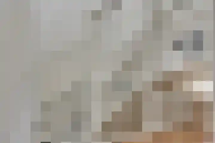 Hanzelaan 41 Kampen thumbnail 25