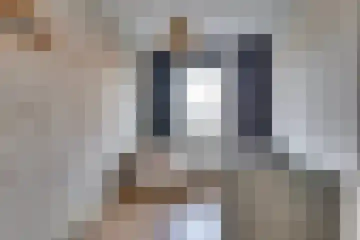 Hanzelaan 41 Kampen thumbnail 29