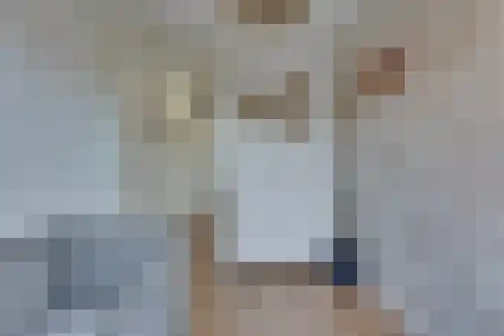 Hanzelaan 41 Kampen thumbnail 30