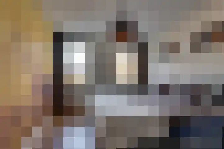 Hanzelaan 41 Kampen thumbnail 31