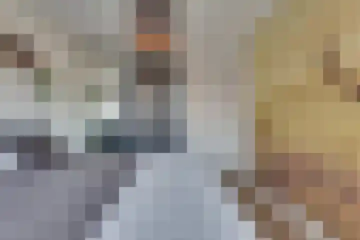 Hanzelaan 41 Kampen thumbnail 32