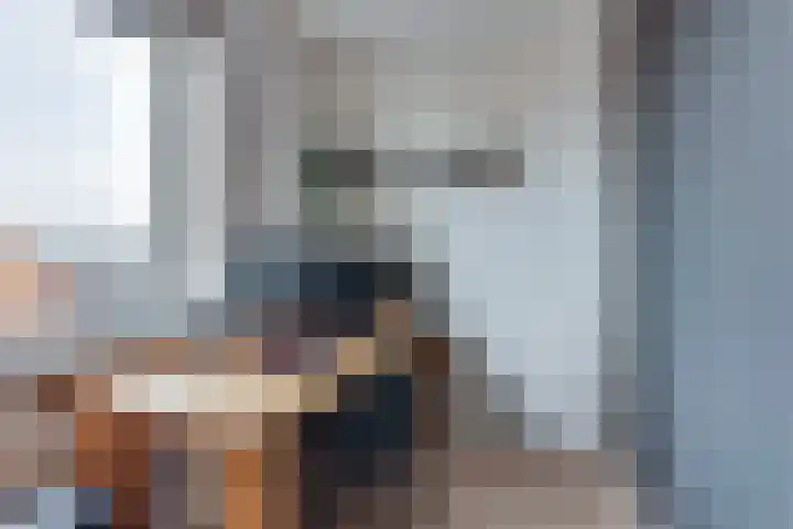 Hanzelaan 41 Kampen thumbnail 40