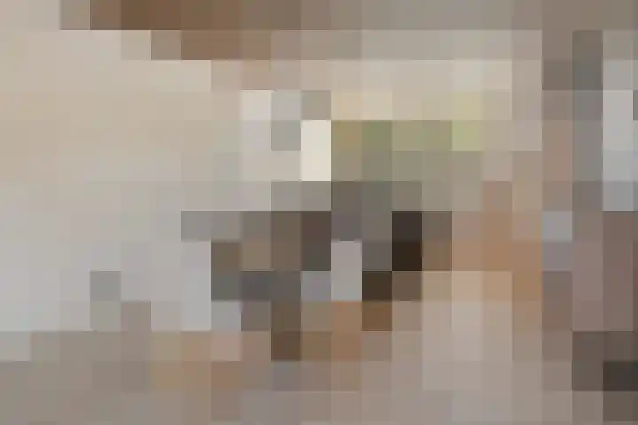 Hanzelaan 5 Kampen thumbnail 19