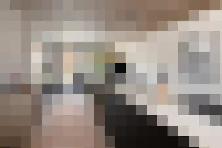 Hanzelaan 5 Kampen thumbnail 22