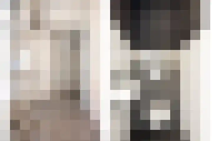 Hanzelaan 5 Kampen thumbnail 28