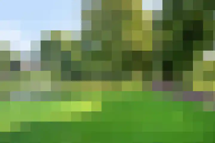 Hanzelaan 5 Kampen thumbnail 47