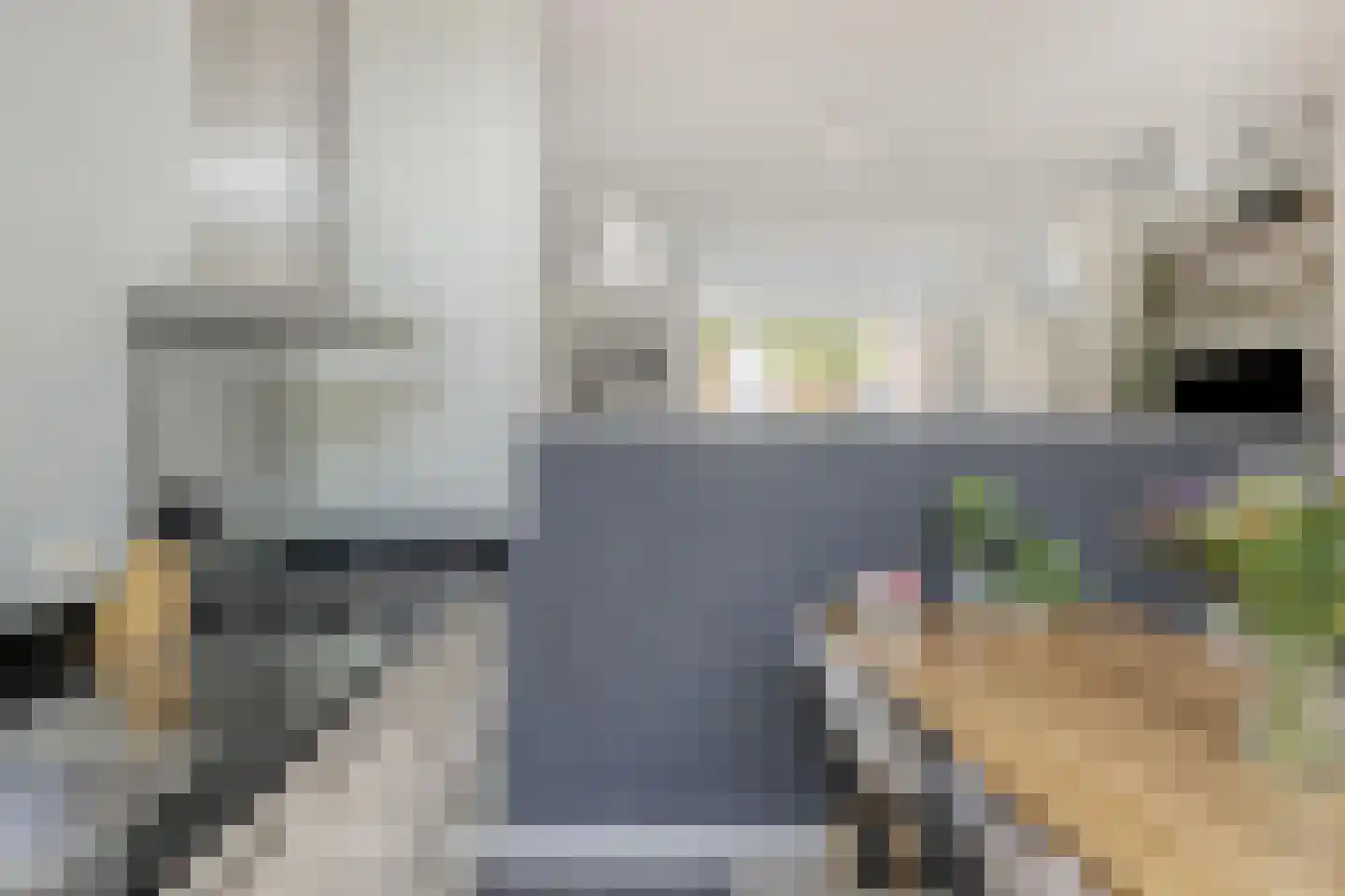 Hanzelaan 60 Kampen thumbnail 15