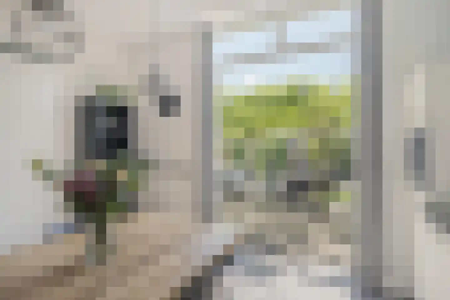 Hanzelaan 60 Kampen thumbnail 18