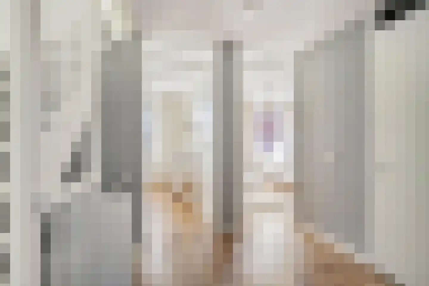 Hanzelaan 60 Kampen thumbnail 21