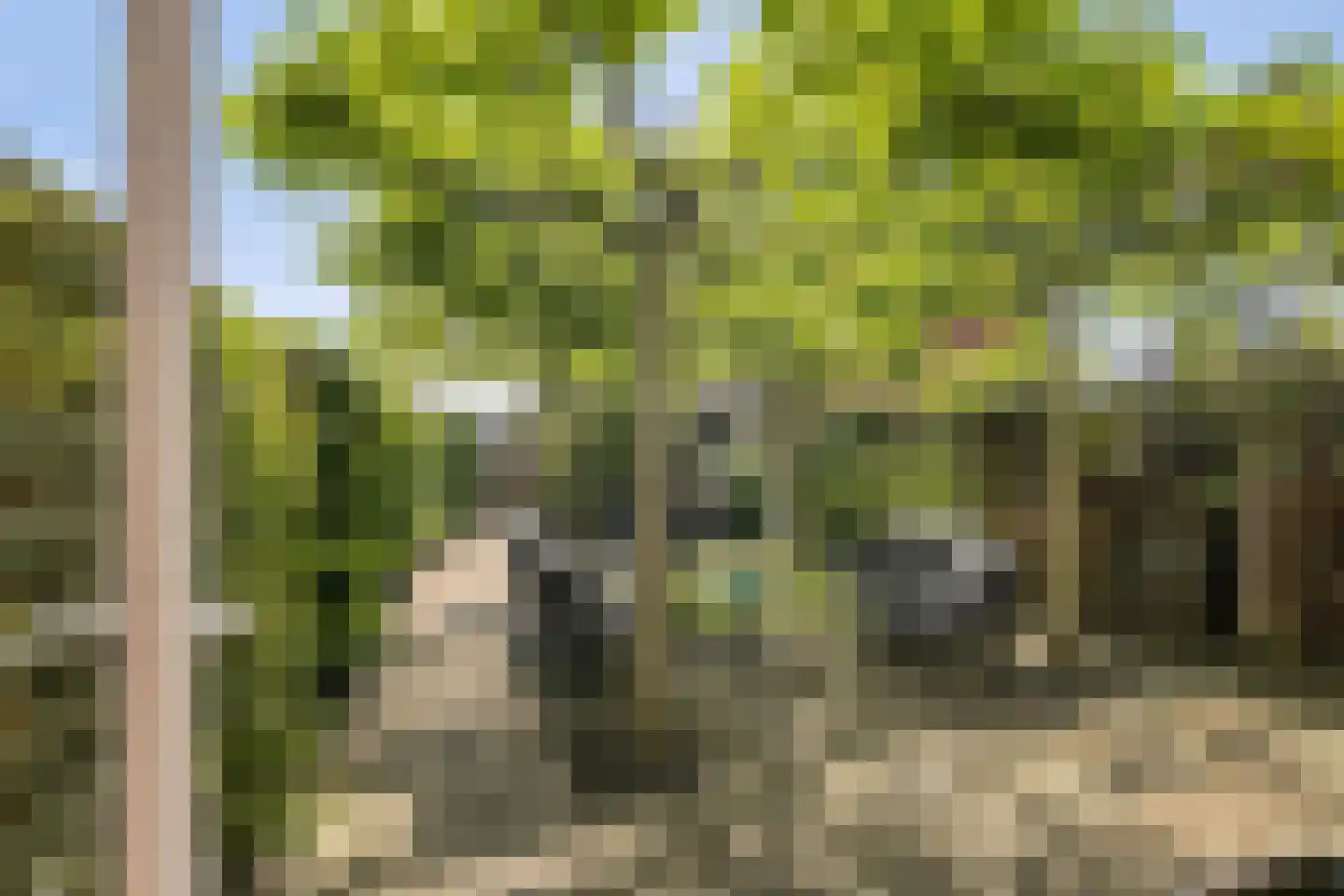 Hanzelaan 60 Kampen thumbnail 39