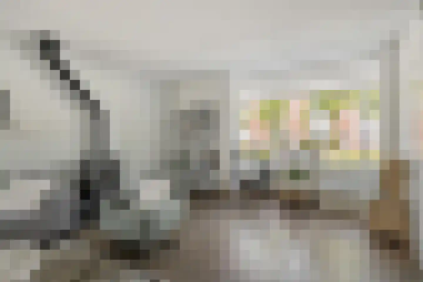 Hanzelaan 60 Kampen thumbnail 4