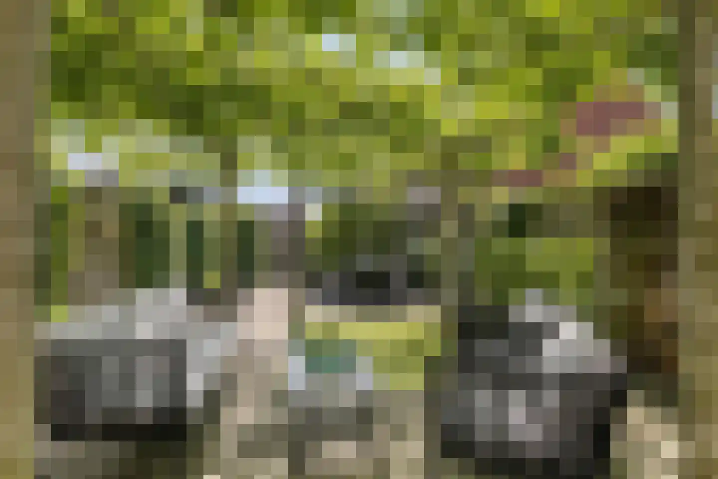 Hanzelaan 60 Kampen thumbnail 40