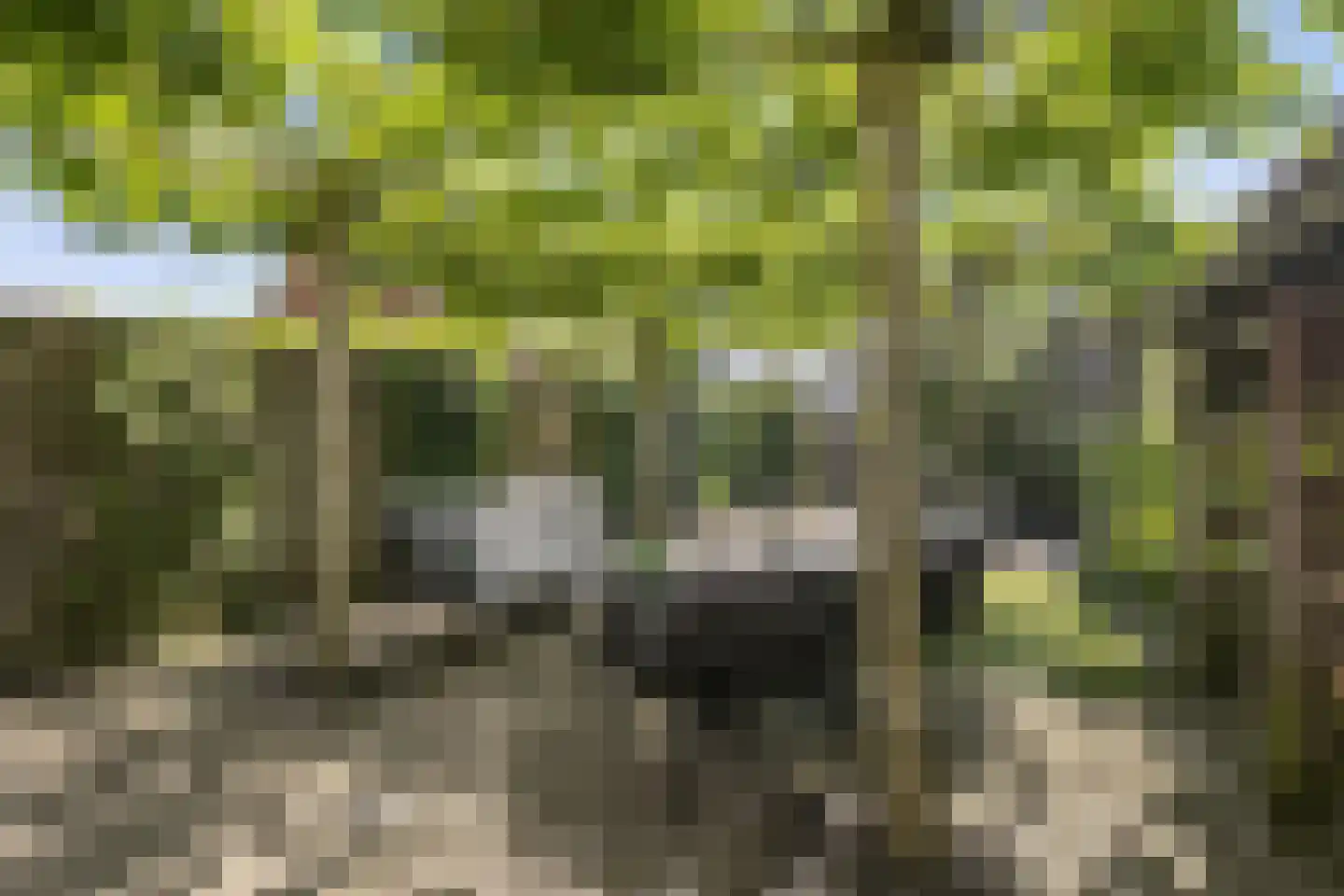 Hanzelaan 60 Kampen thumbnail 41