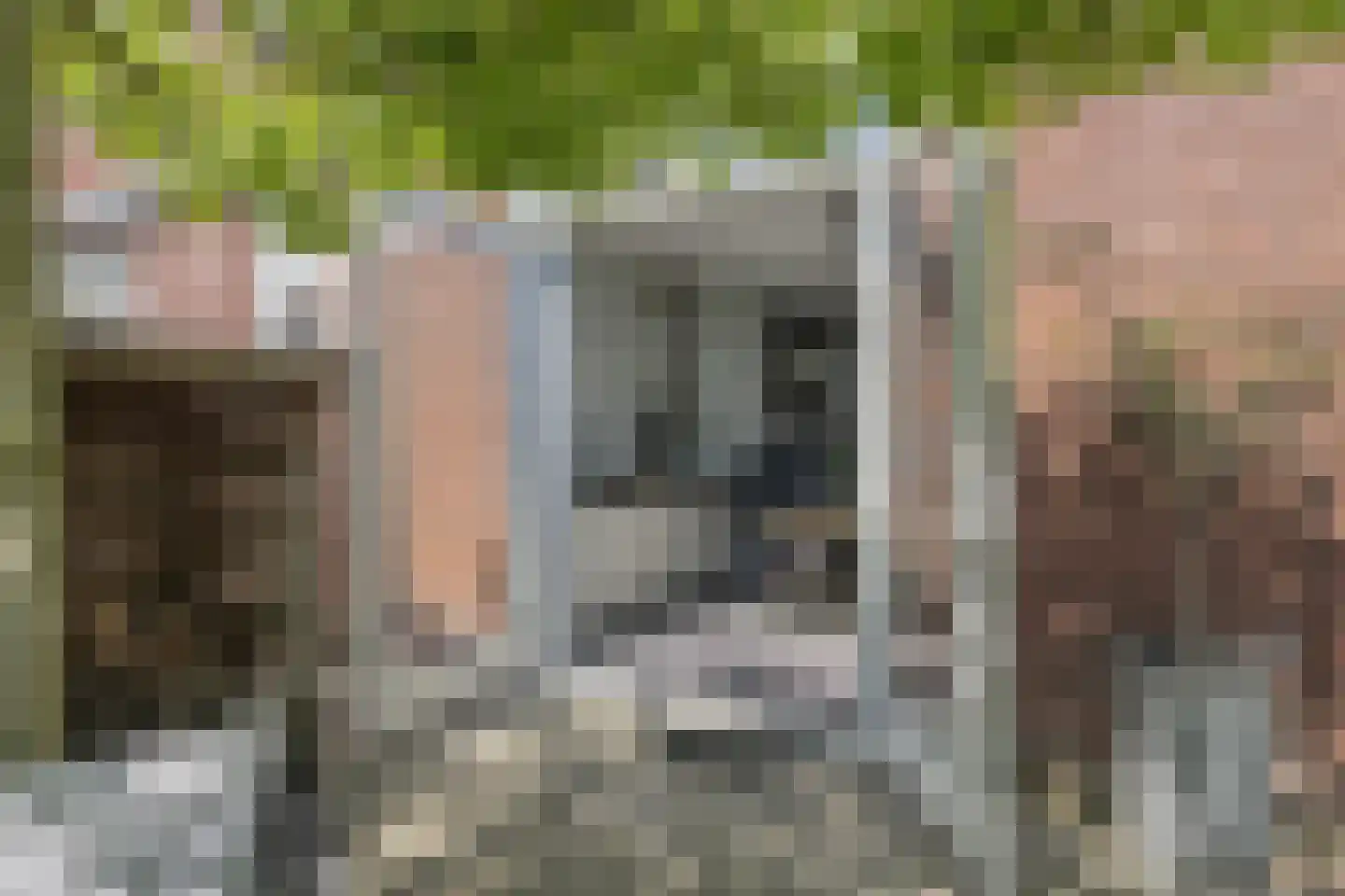 Hanzelaan 60 Kampen thumbnail 46