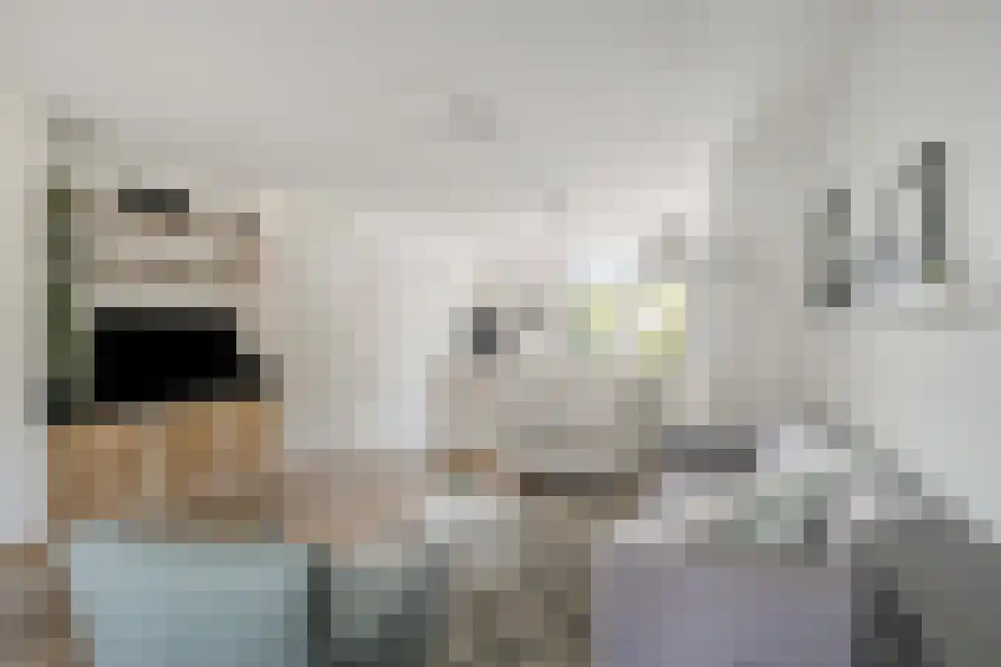 Hanzelaan 60 Kampen thumbnail 8