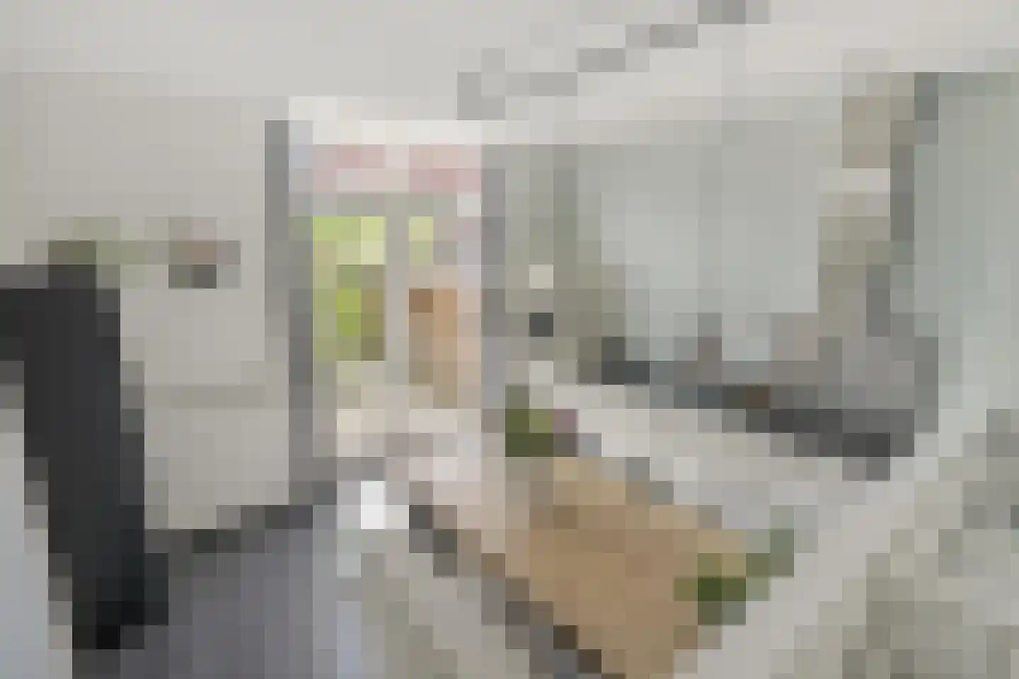 Hanzelaan 60 Kampen thumbnail 9