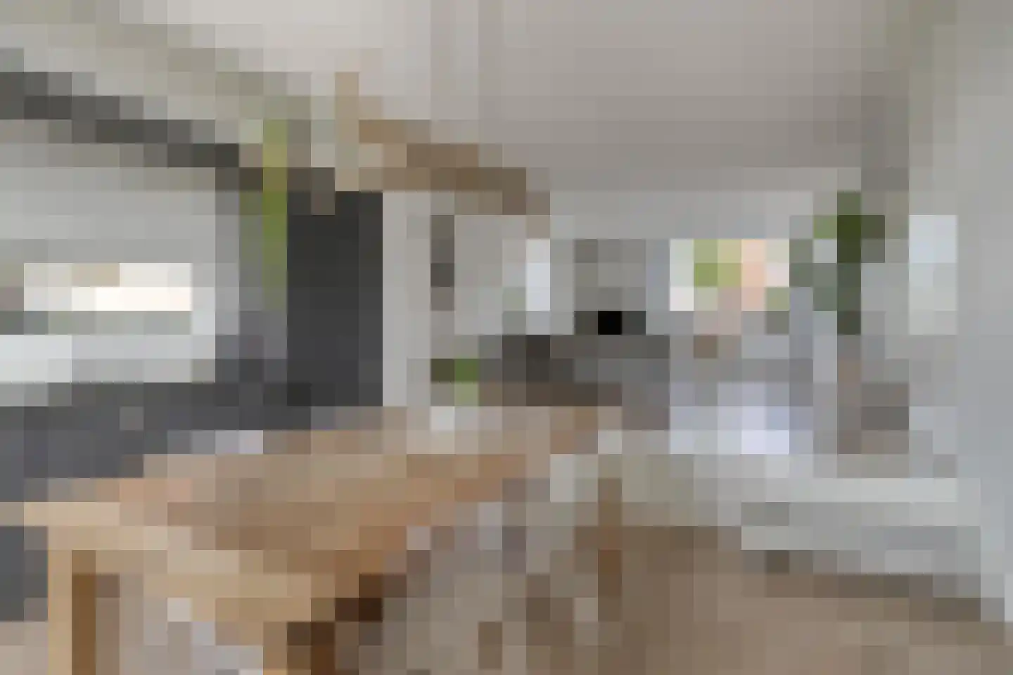 Hanzelaan 64 Kampen thumbnail 14